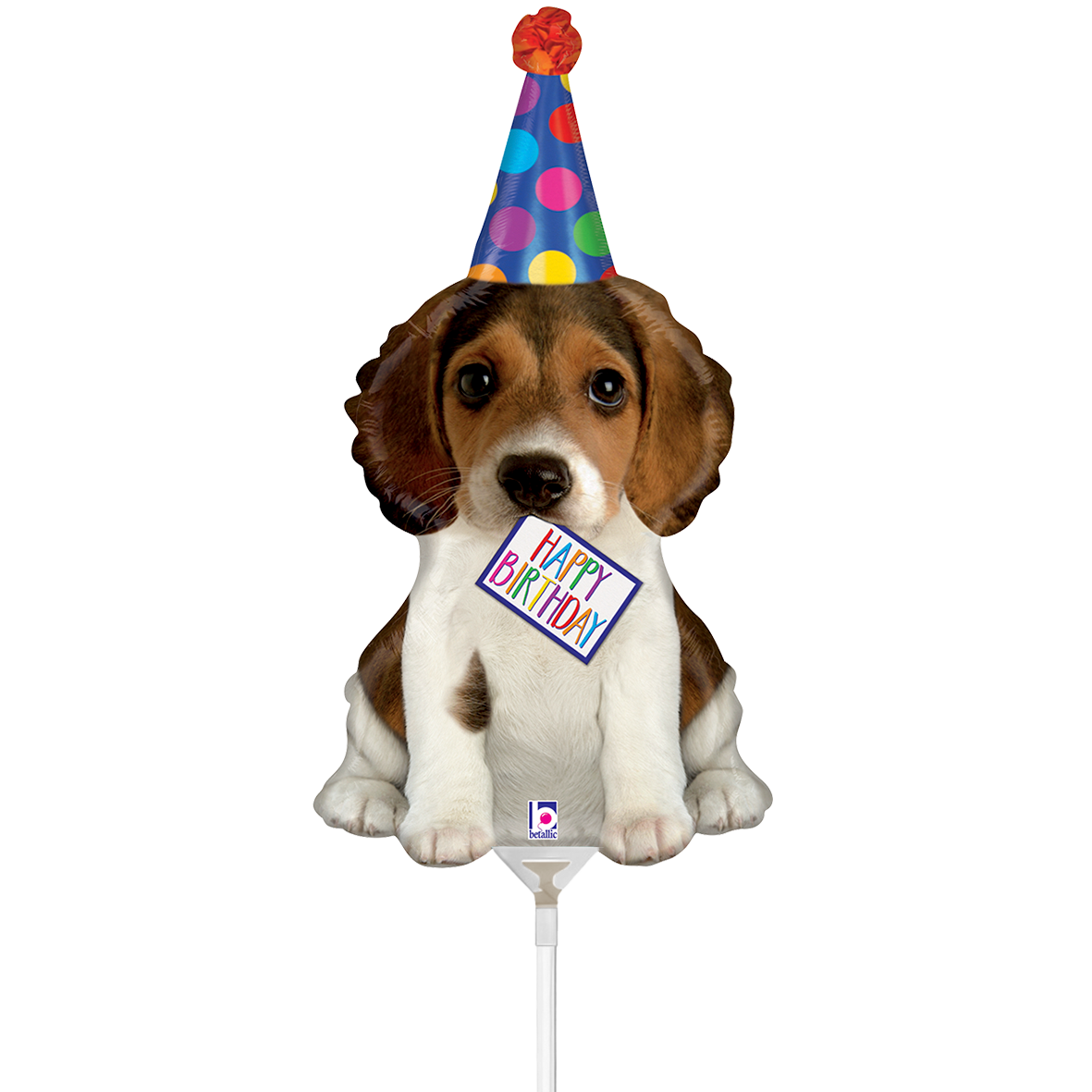 10 Miniballoons Airfilled - Birthday Puppy (Unverpackt)