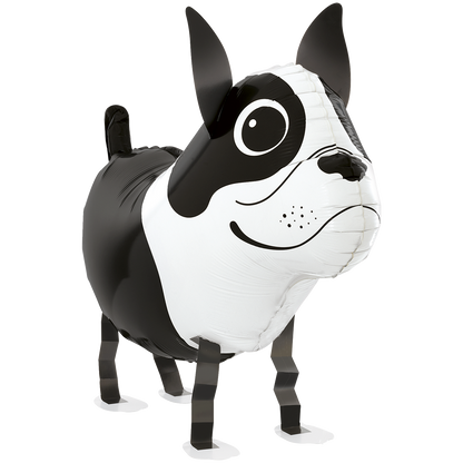1 Balloon - Balloon Friends - Boston Terrier