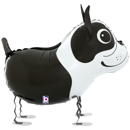 1 Balloon - Balloon Friends - Boston Terrier