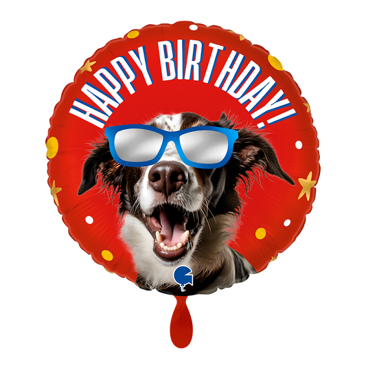 1 Balloon - Cool Doggy Birthday